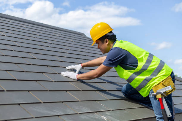 Best Roof Replacement Cost  in Little Falls, MN