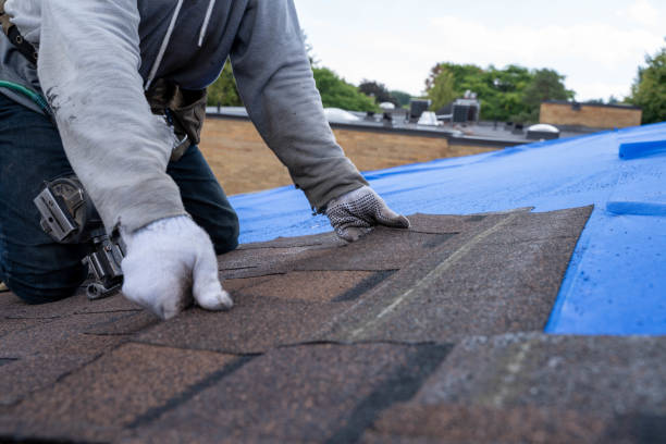 Best Roof Gutter Cleaning  in Little Falls, MN