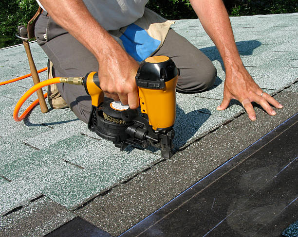Best Shingle Roofing Installation  in Little Falls, MN