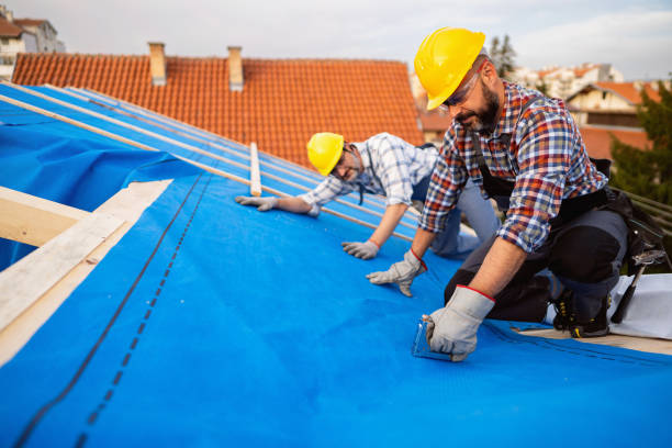 Best Roof Restoration Services  in Little Falls, MN