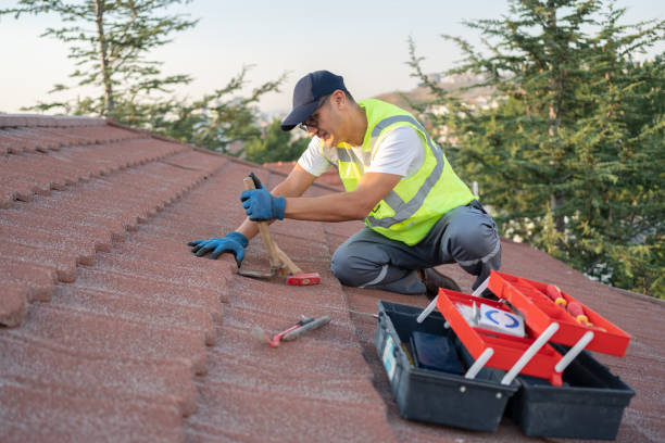 Best Flat Roof Repair Services  in Little Falls, MN