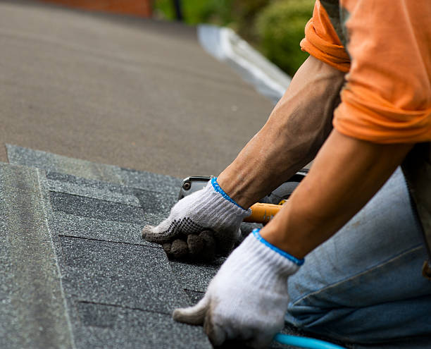 Quick and Trustworthy Emergency Roof Repair Services in Little Falls, MN