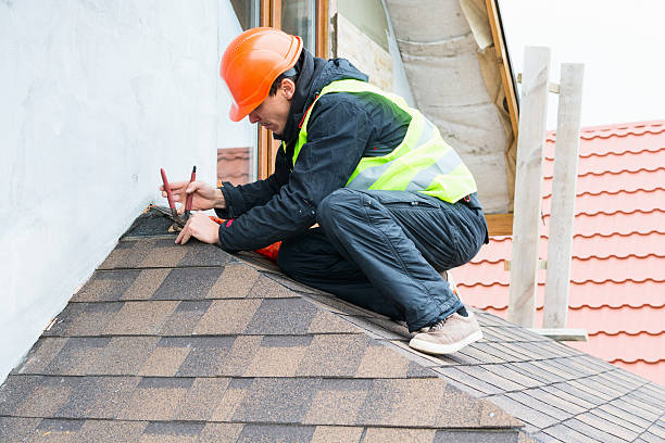 Best New Roof Installation  in Little Falls, MN