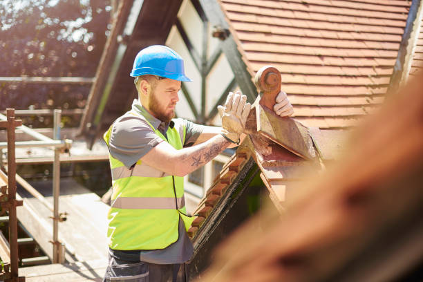 Best Residential Roofing Contractor  in Little Falls, MN