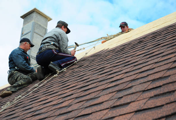 Best Best Roofing Contractors  in Little Falls, MN