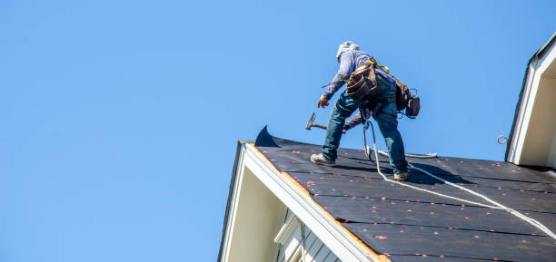 Best New Roof Installation  in Little Falls, MN